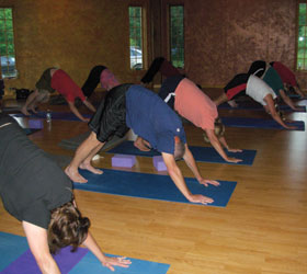 Blueberry Gardens Photos 1