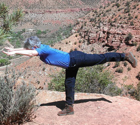 Blueberry Gardens Photos 10