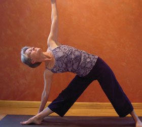 Blueberry Gardens Photos 5