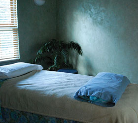 Blueberry Gardens Photos 1