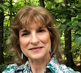 Blueberry Gardens Photos 1