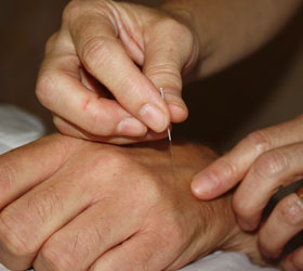 Blueberry Gardens Photos 2